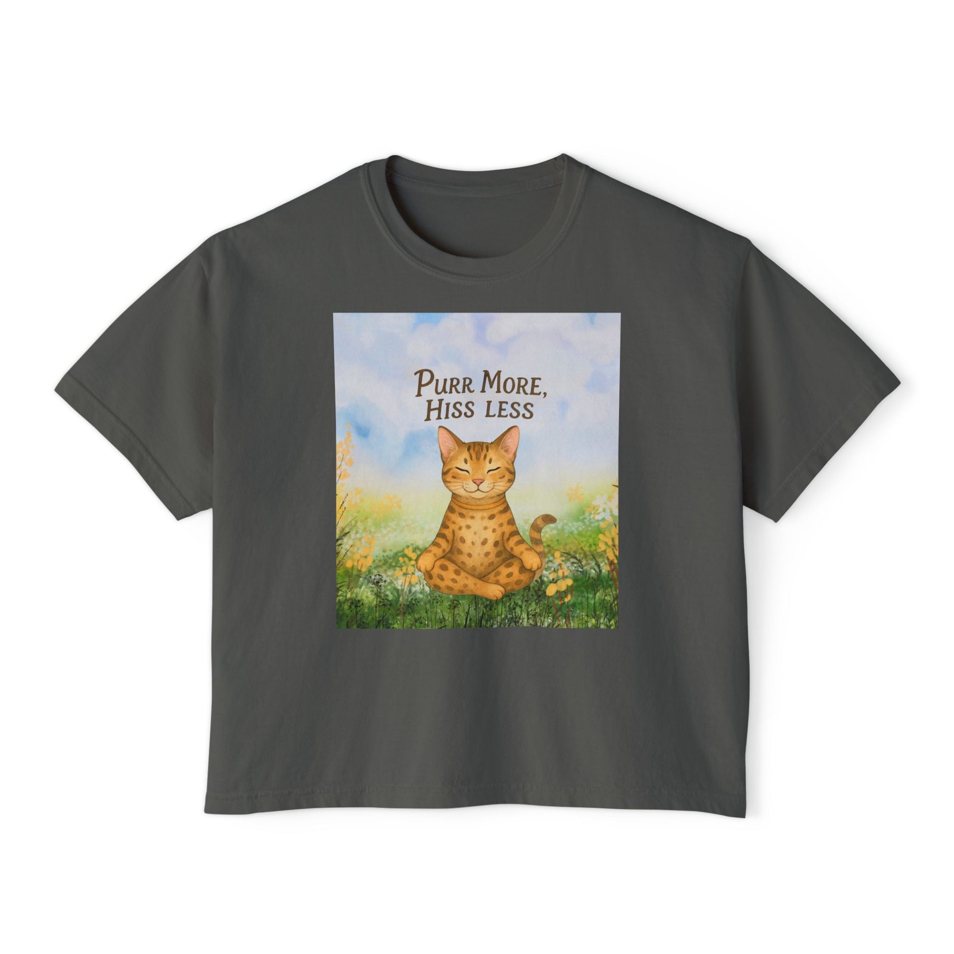 T-shirt for Cat Lovers, Purr More Hiss Less Design, Cozy Womens T-Shirt, Cat Lover Gift for Birthdays, Cat Lover Apparel, Comfort Colors